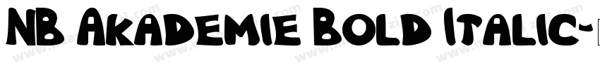 NB Akademie Bold Italic字体转换